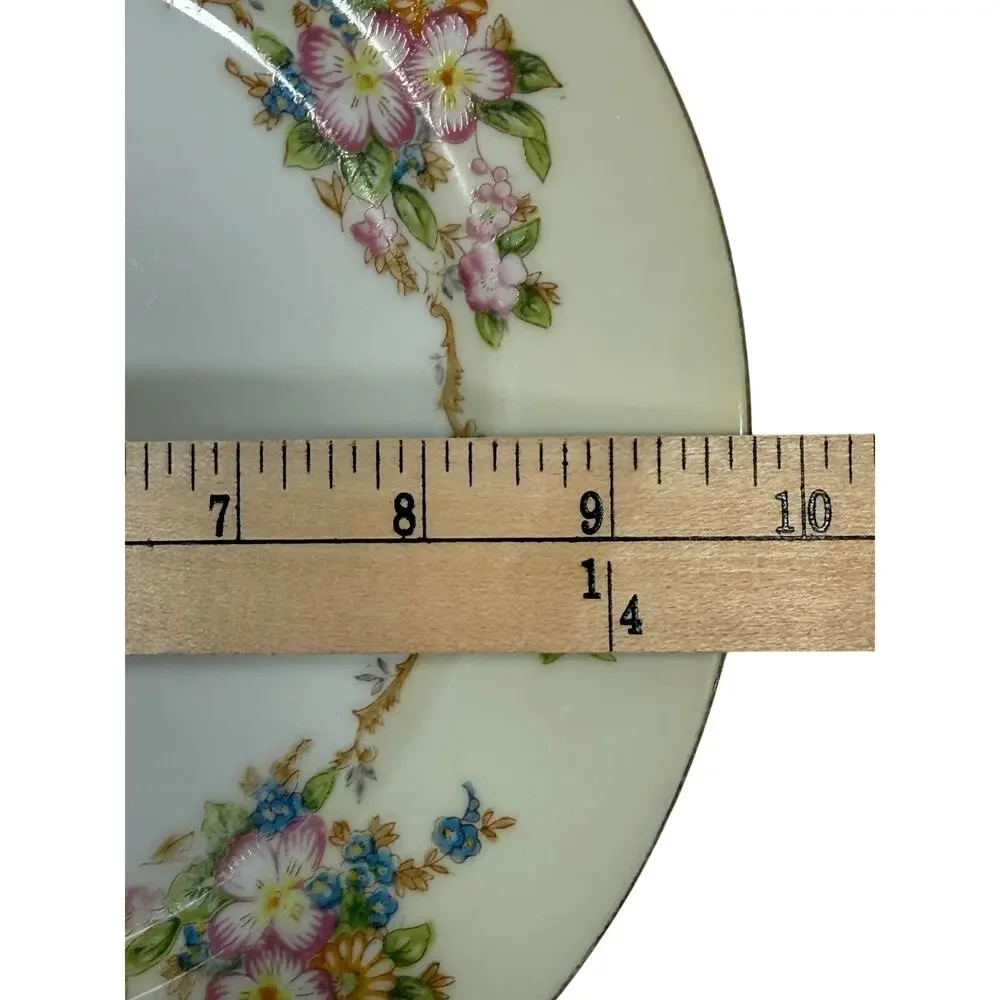 Meito China Hand Painted Floral Plates Set of 2 Japan 9.75” Vintage